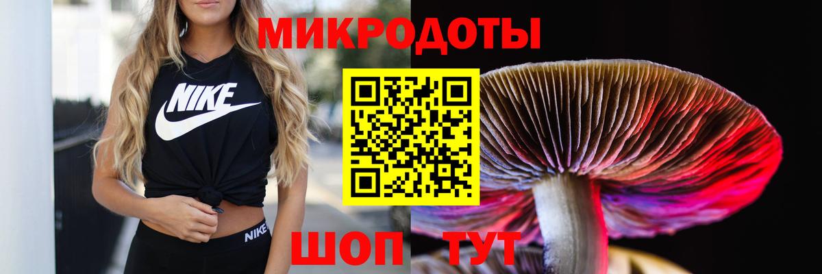Псилоцибиновые грибы ЛСД Шатура